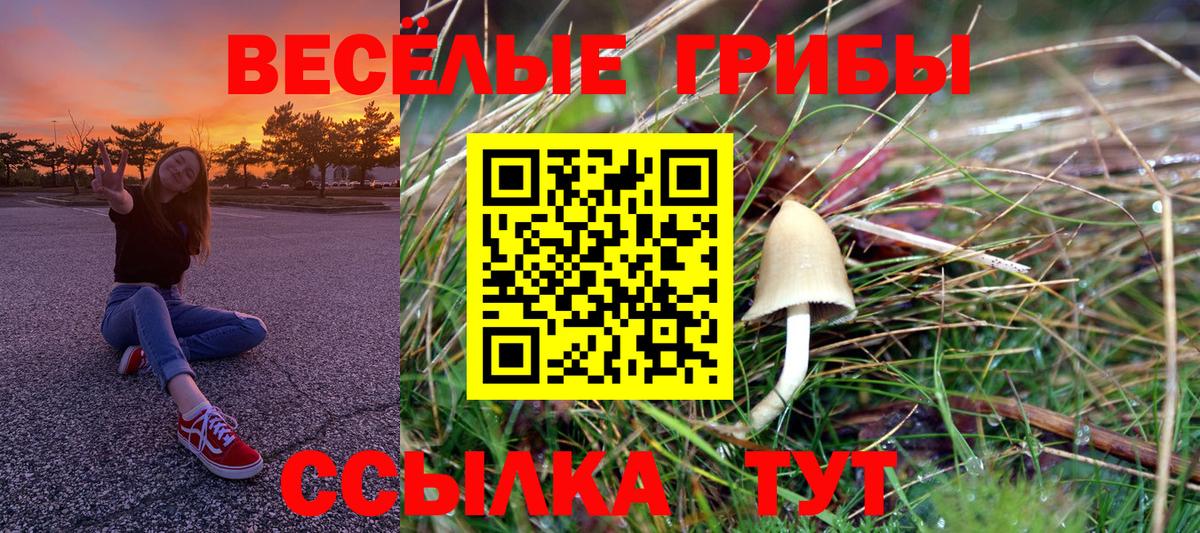 Галлюциногенные грибы Cubensis  Вход с VPN  Грозный  Псилоцибиновые грибы мицелий 