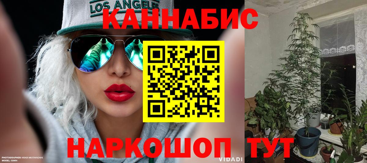 Канабис SATIVA & INDICA  Вход с VPN  Марихуана планчик  Грозный  Каннабис конопля 